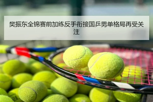 樊振东全锦赛前加练反手衔接国乒男单格局再受关注